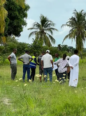 Kigamboni Mbutu McHikichini