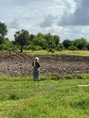 Buyuni Kumenoga