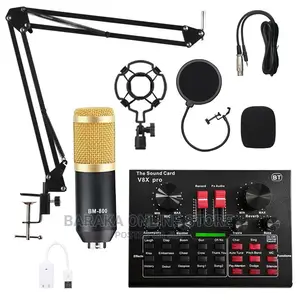 Bm800 V8 Microphone