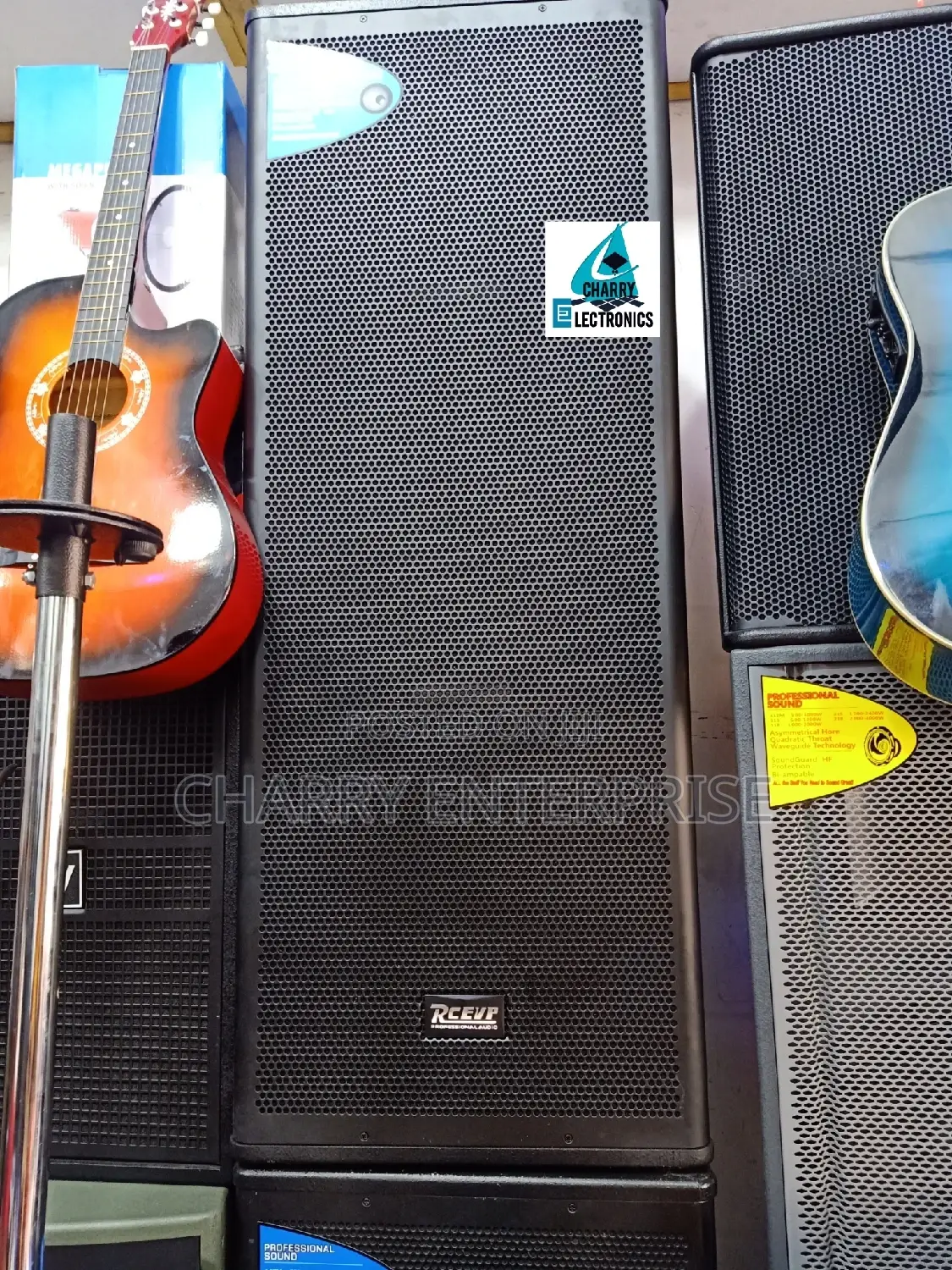 RCEVP Mid- Double Speaker With PROFESSIONAL Sound