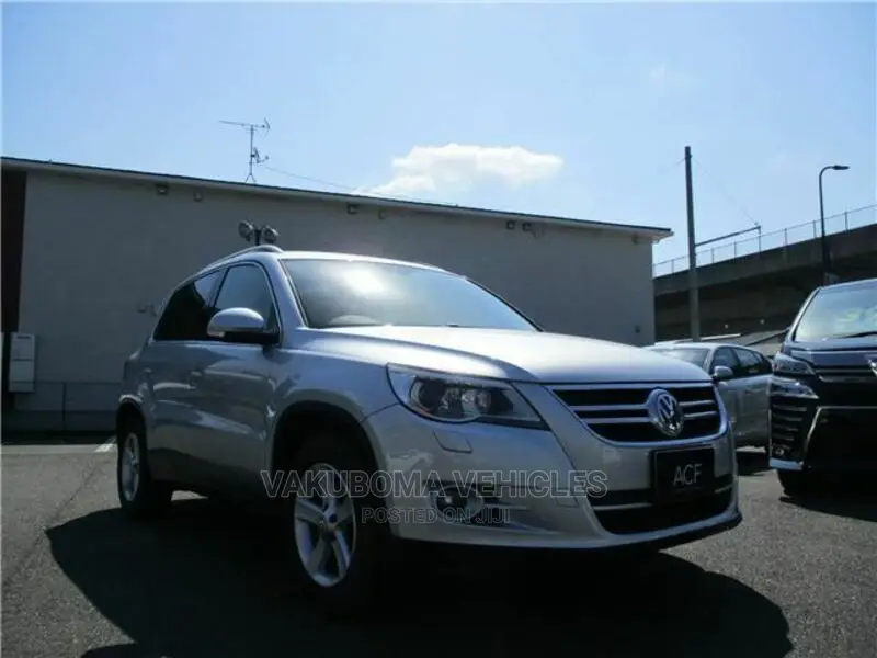 Volkswagen Tiguan 2010 Silver