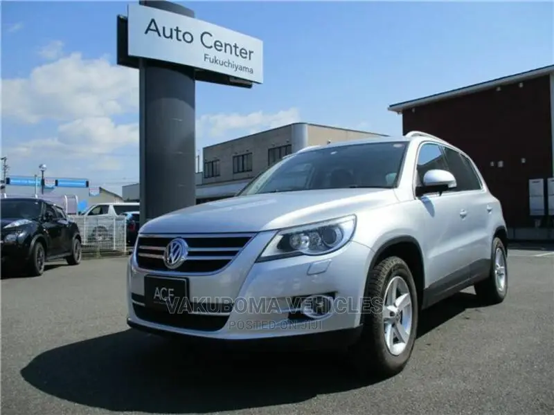 Volkswagen Tiguan 2010 Silver