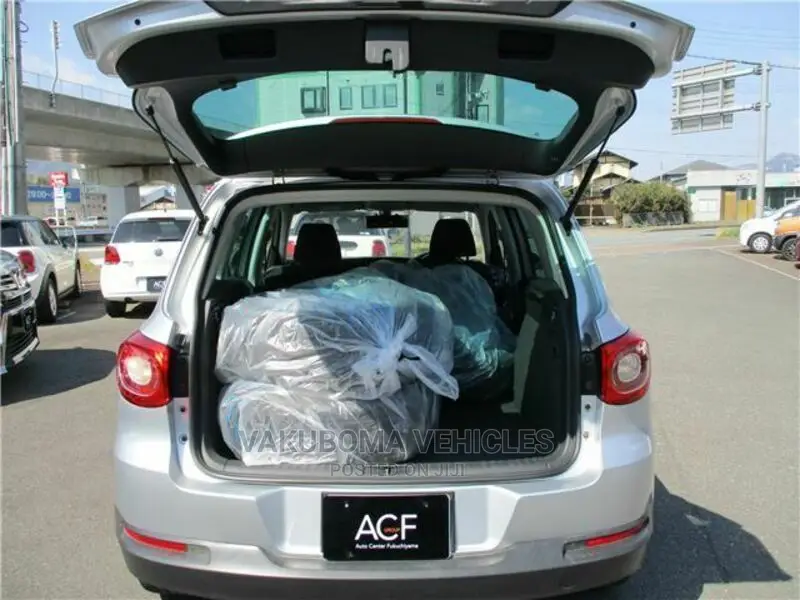 Volkswagen Tiguan 2010 Silver