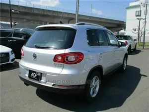 Volkswagen Tiguan 2010 Silver