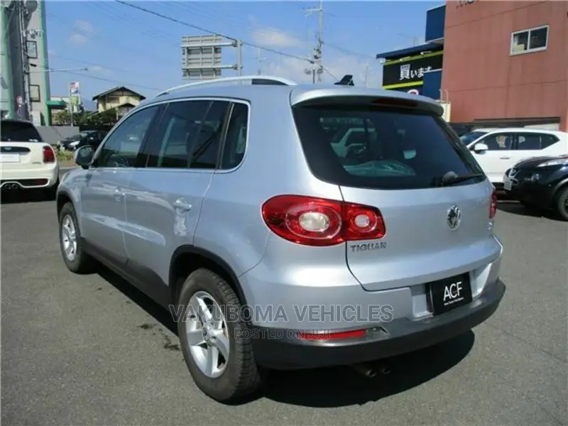 Volkswagen Tiguan 2010 Silver