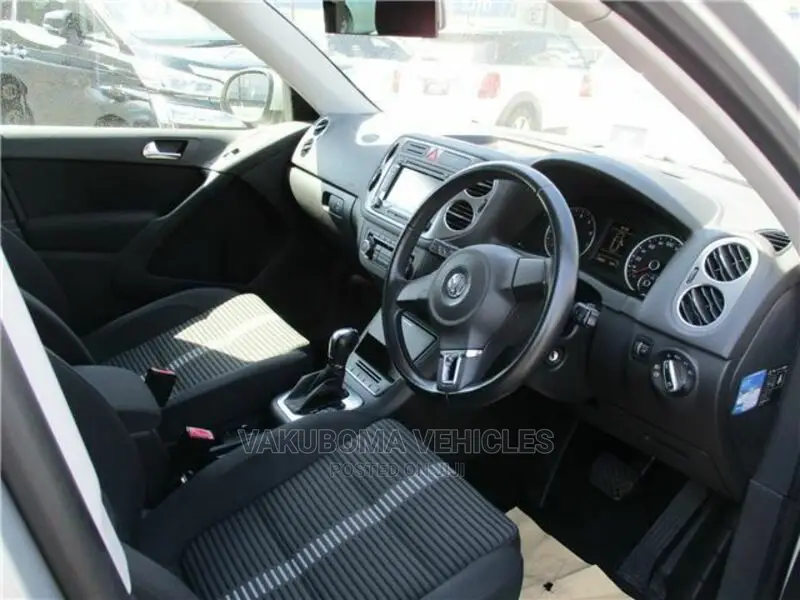 Volkswagen Tiguan 2010 Silver