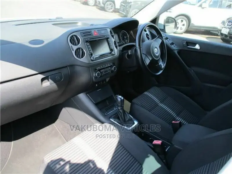 Volkswagen Tiguan 2010 Silver