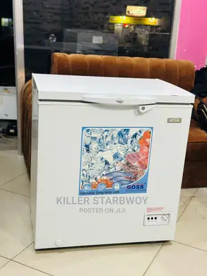Freezer Lita 150 Kampuni N Boss Ndugu Mteja