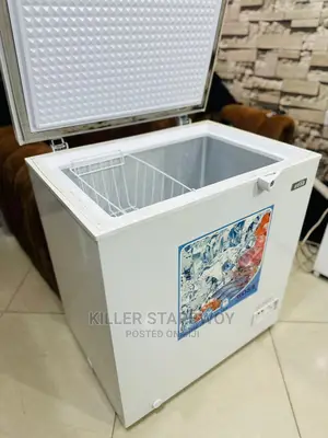 Freezer Lita 150 Kampuni N Boss Ndugu Mteja