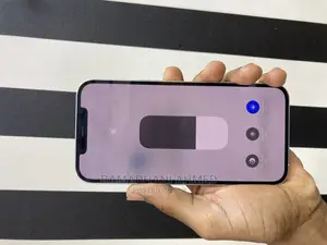 Apple iPhone 12 Pro Max 256 GB Silver