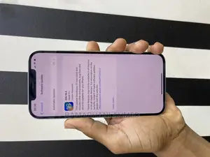 Apple iPhone 12 Pro Max 256 GB Silver