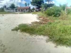 Viwanja Vinauzwa Vimepimwa Ukonga Moshibar Kwa Diwani Stendi