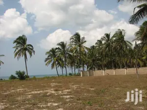 11 Acres Of Beach Plot For Sale