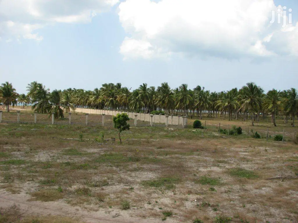 11 Acres Of Beach Plot For Sale