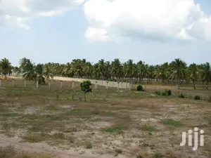 11 Acres Of Beach Plot For Sale