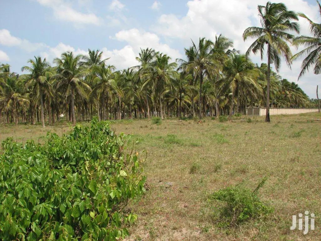 11 Acres Of Beach Plot For Sale
