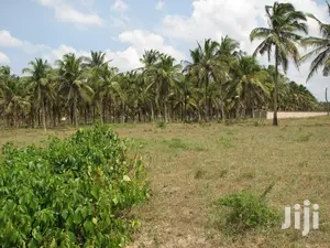 11 Acres Of Beach Plot For Sale
