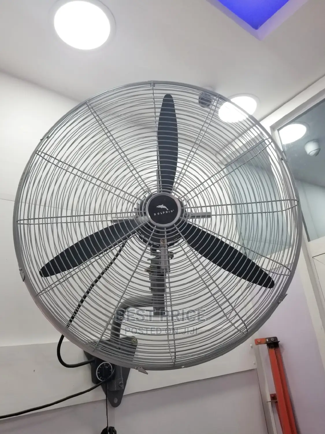 Dolphin Wall Fan 26′′