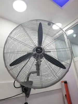 Dolphin Wall Fan 26′′