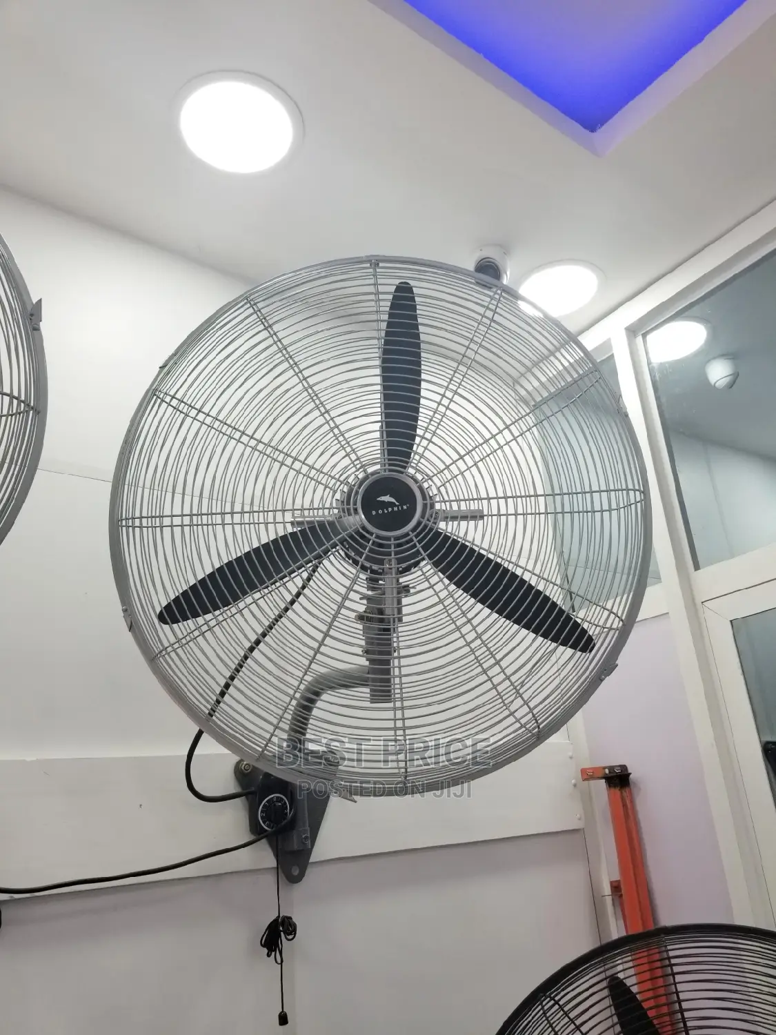 Dolphin Wall Fan 26′′