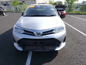 Toyota Corolla Fielder 2018 Silver