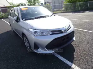 Toyota Corolla Fielder 2018 Silver