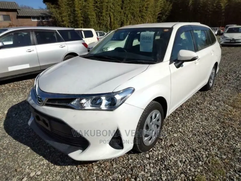 Toyota Corolla Fielder 2018 Pearl