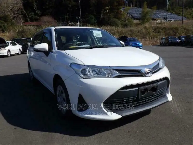 Toyota Corolla Fielder 2018 Pearl