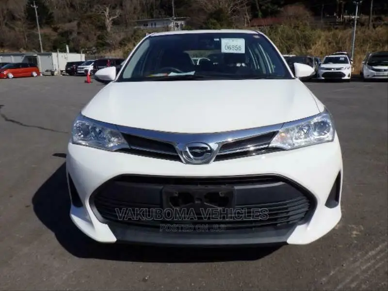 Toyota Corolla Fielder 2018 Pearl
