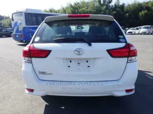 Toyota Corolla Fielder 2018 Pearl