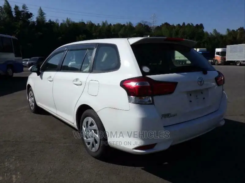 Toyota Corolla Fielder 2018 Pearl