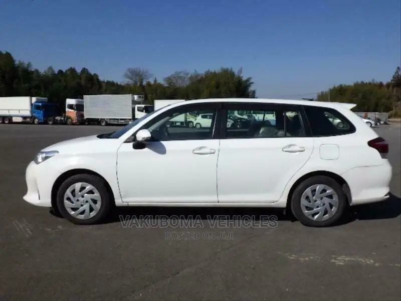 Toyota Corolla Fielder 2018 Pearl