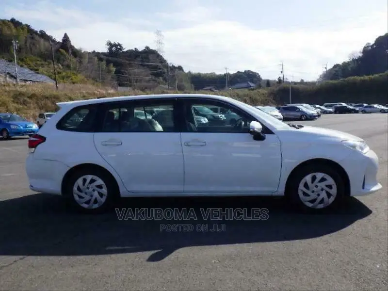 Toyota Corolla Fielder 2018 Pearl