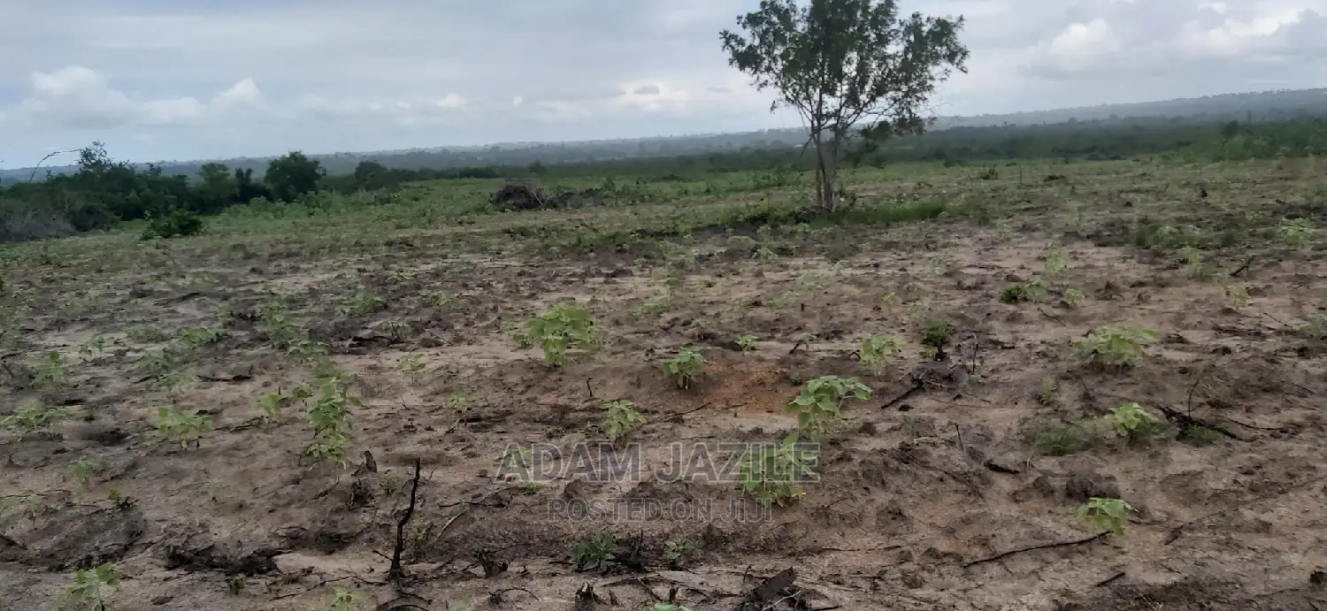 Shamba La Ekari 5 Linauzwa Kiwangwa Bagamoyo