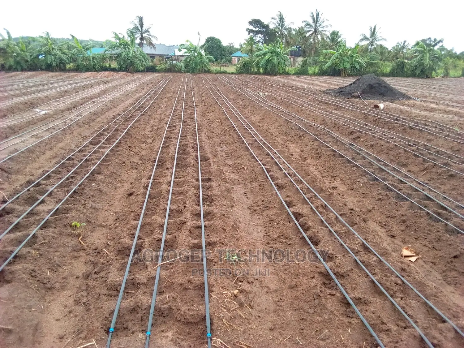 Drip Tape Irrigation