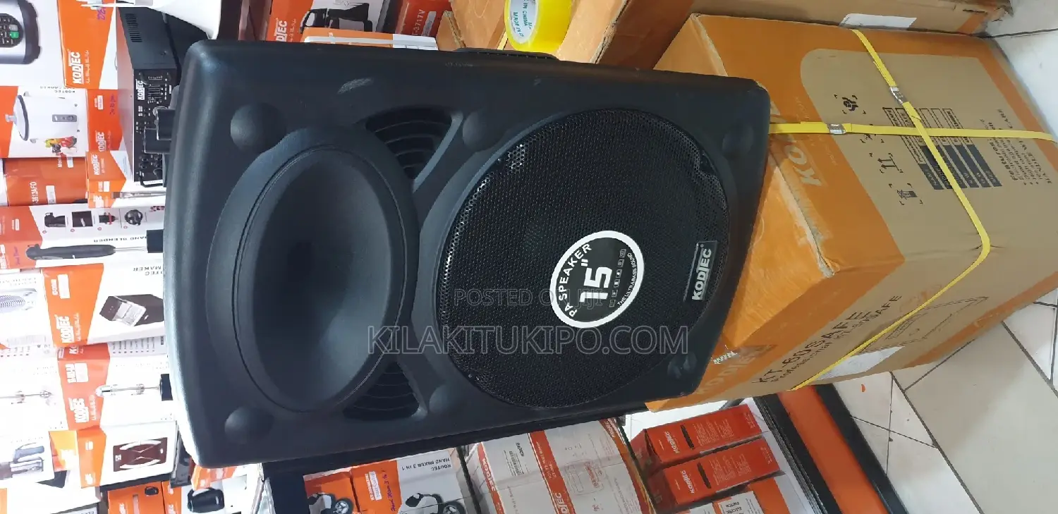 Rechargeable Portable Pa Speaker