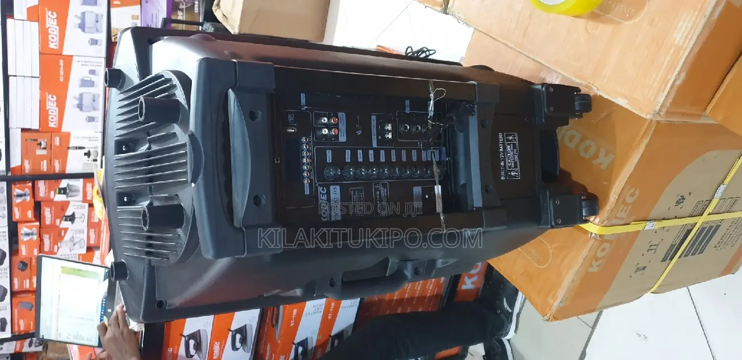 Rechargeable Portable Pa Speaker