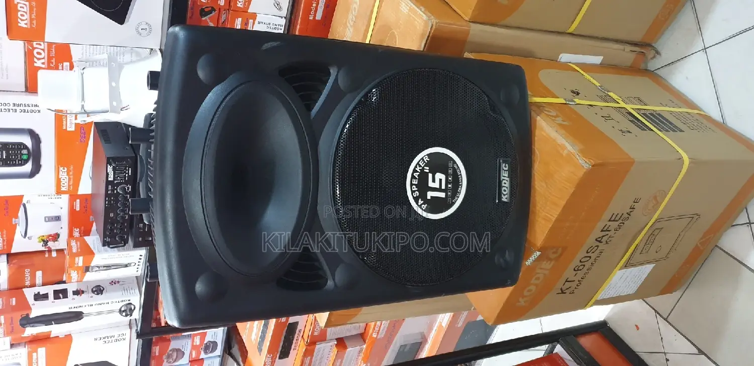 Rechargeable Portable Pa Speaker