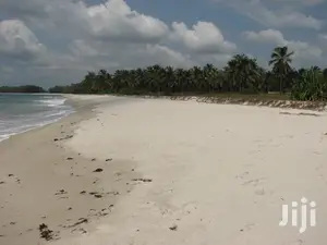 11 Acres Of Beach Plot For Sale