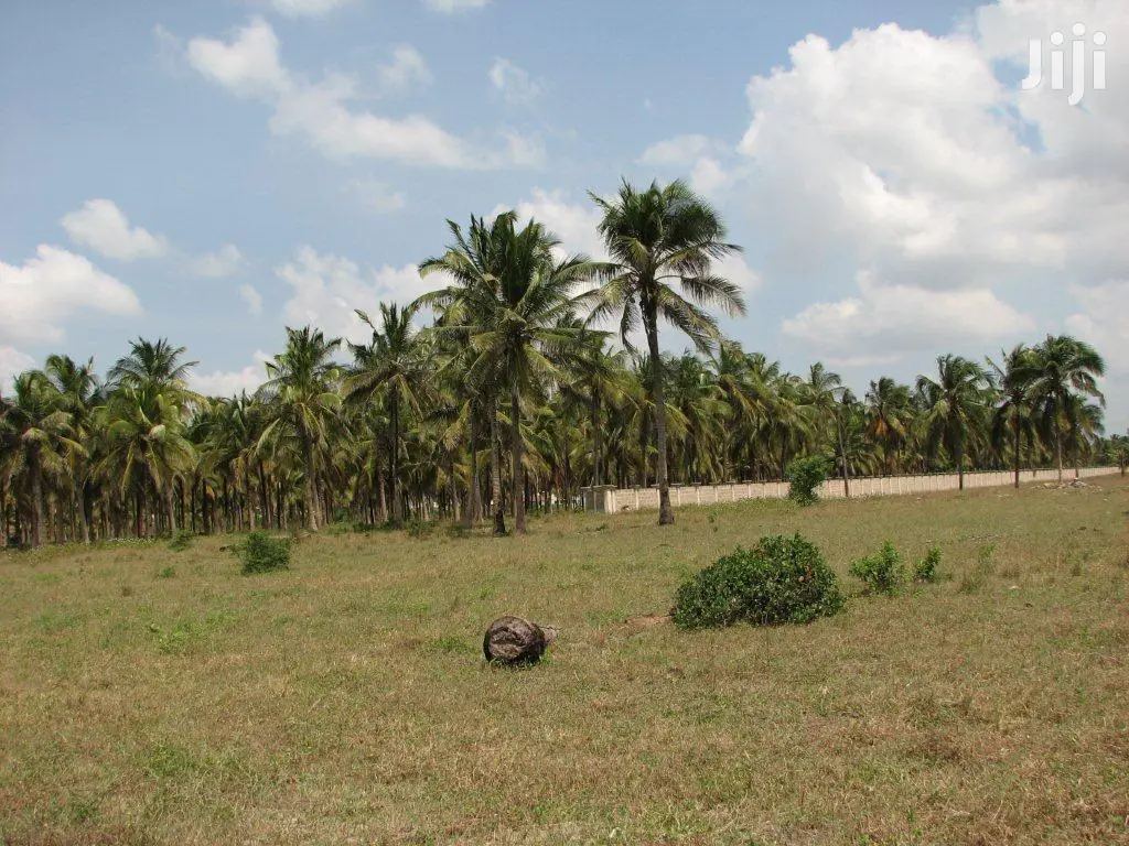 11 Acres Of Beach Plot For Sale