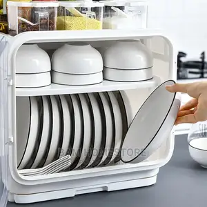 Kitchen Double Dish Rack