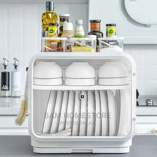 Kitchen Double Dish Rack