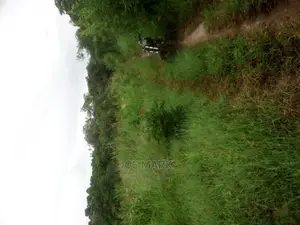 Eneo Linauzwa ,Kibaha Vikuruti