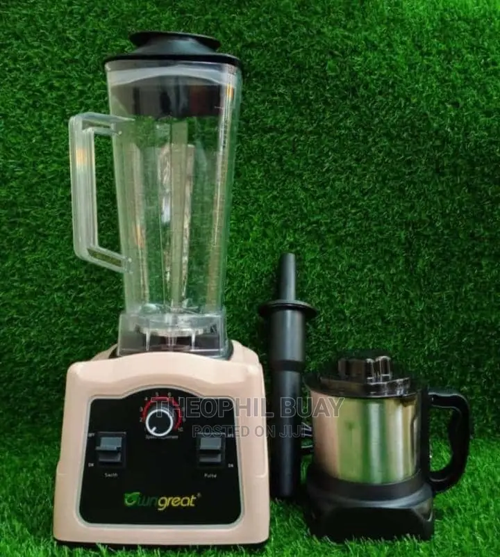 Wngreat 2in1 Heavy Duty Blender