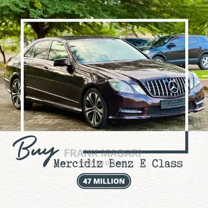 Mercedes-Benz E250 2010