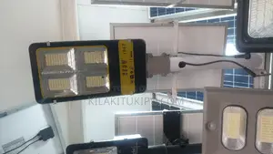 Street Light With Separete System 300W