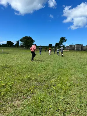 Viwanja Bei Nafuu