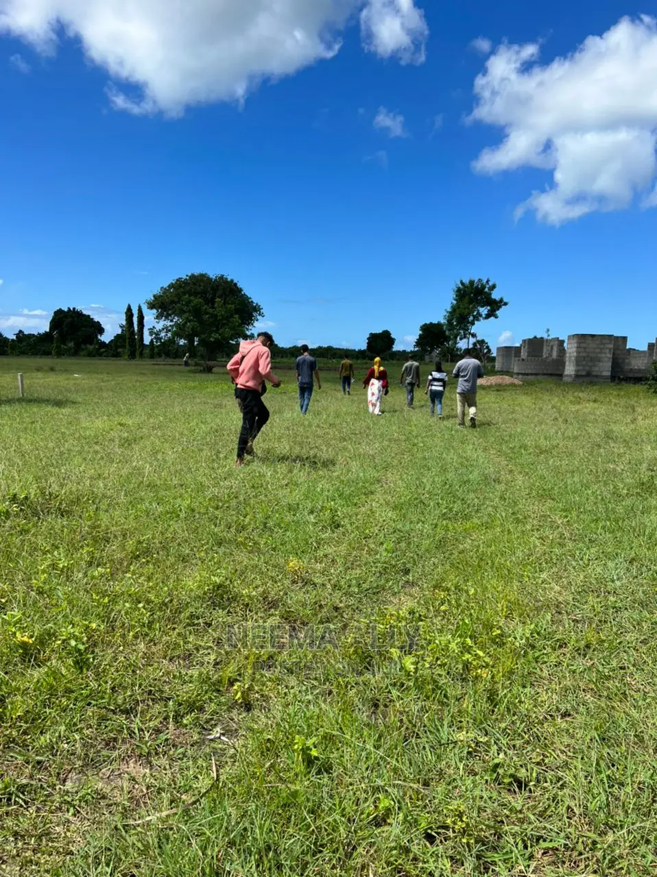 Viwanja Bei Nafuu