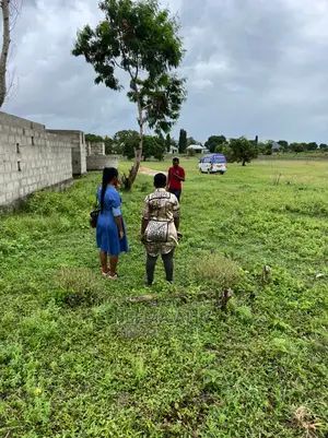 Shirikisho Kigamboni McHikichini