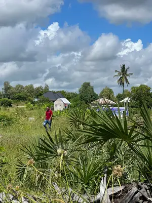 Cheka Plots Near Avic Town
